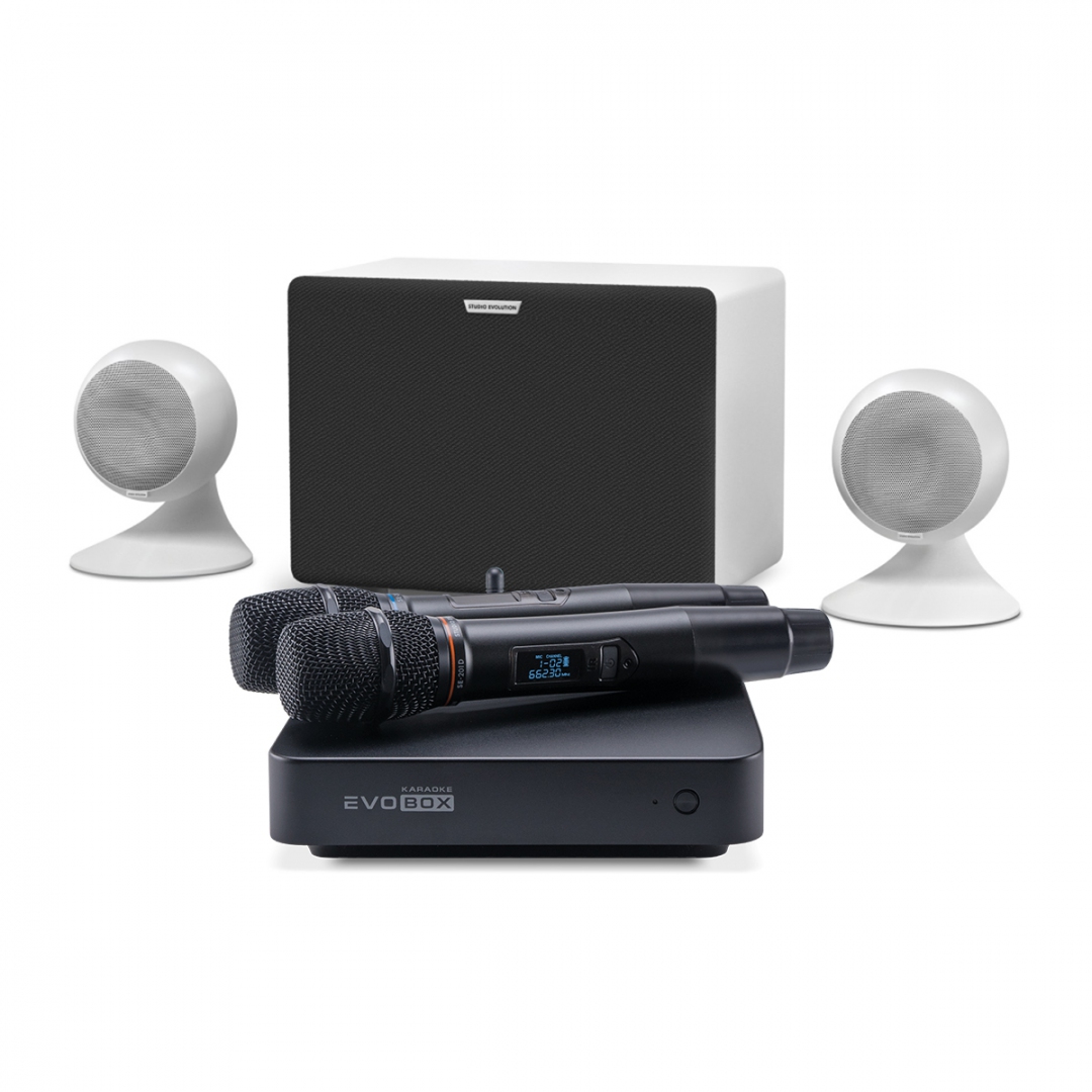 караоке-комплект EVOBOX Classic + EvoSound Sphere 2.1 в Ноябрьске