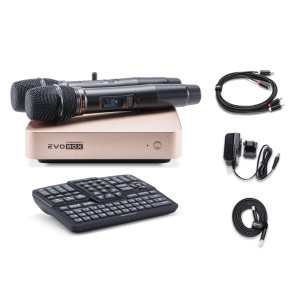 EVOBOX Classic караоке-система для дома в Ноябрьске