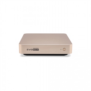 EVOBOX с микрофонами в Ноябрьске